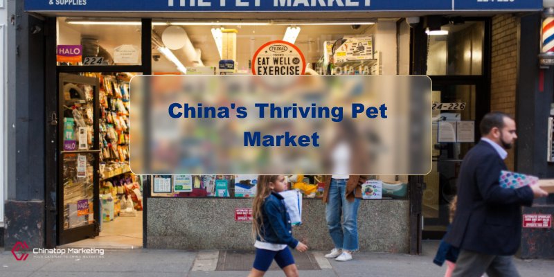 China's Thriving Pet Market